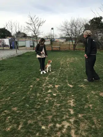 Anadolu Yakası Köpek Eğitim Merkezi