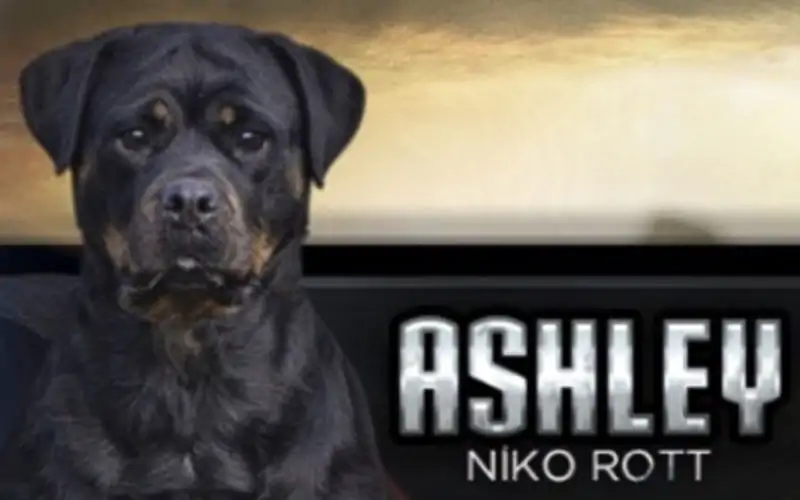 Ashley NİKO ROTT