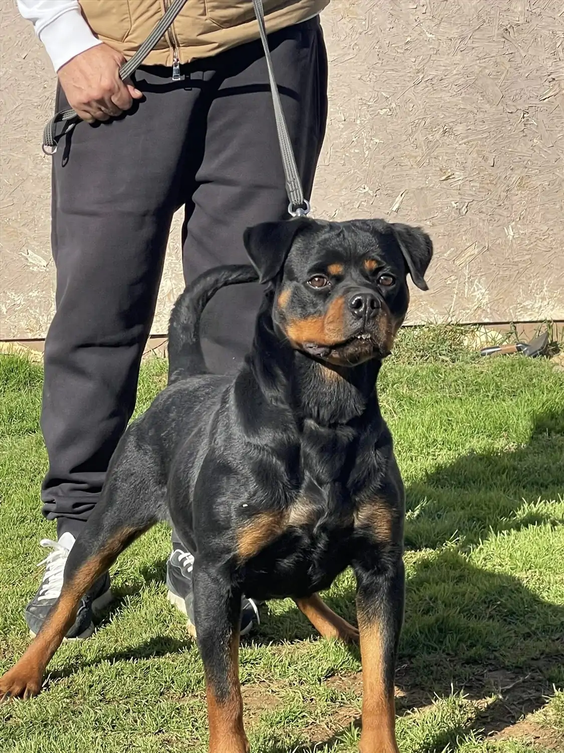 CICI HAUSE OF ISTANBUL