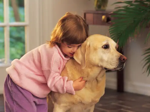 Köpekle Yaşamak İçin Neler Gerekli?