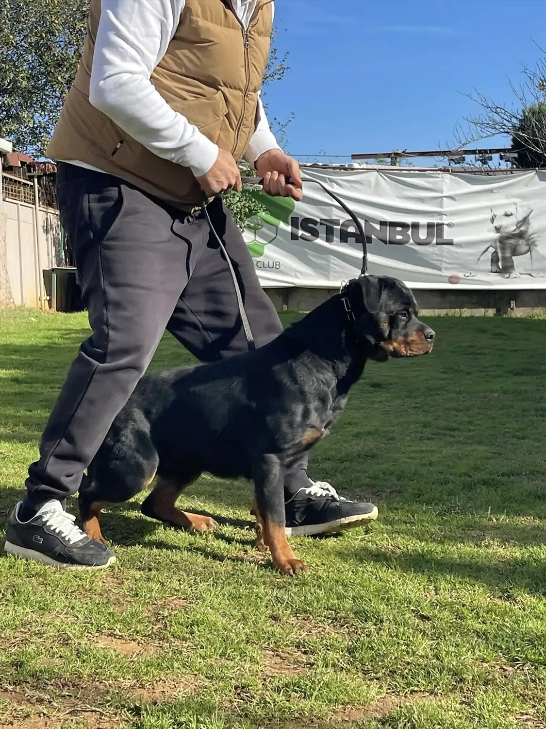 YONG  HAUSE OF ISTANBUL