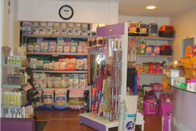 Pet Shop